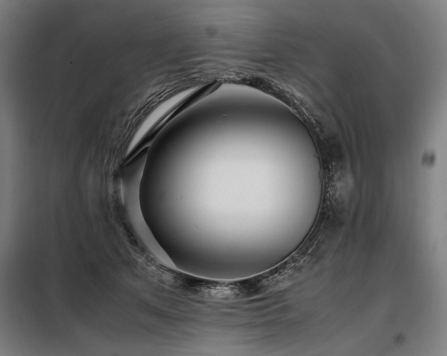 X0000098100513200804041247