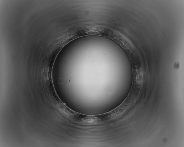 X0000098100514200804041247