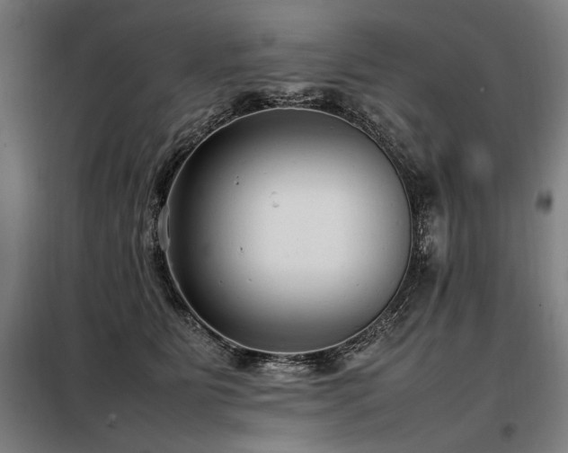 X0000098100515200804041247