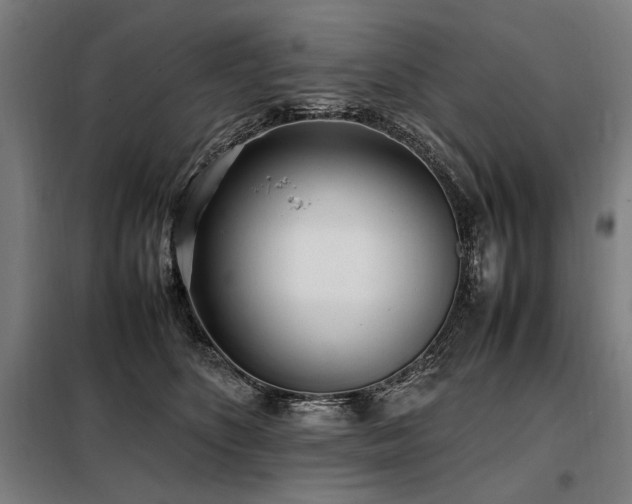X0000098100516200804041247