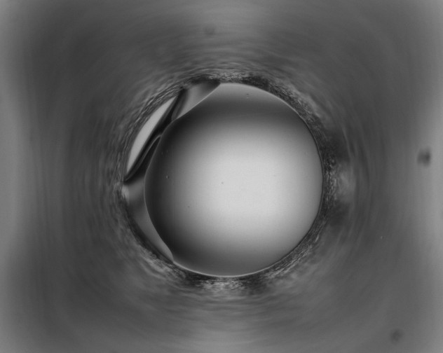 X0000098100517200804041247