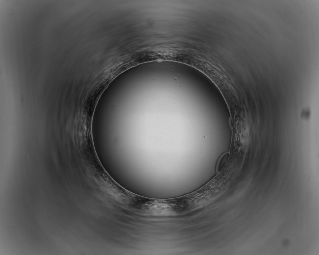 X0000098100518200804041247