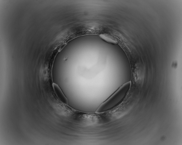X0000098100520200804041247