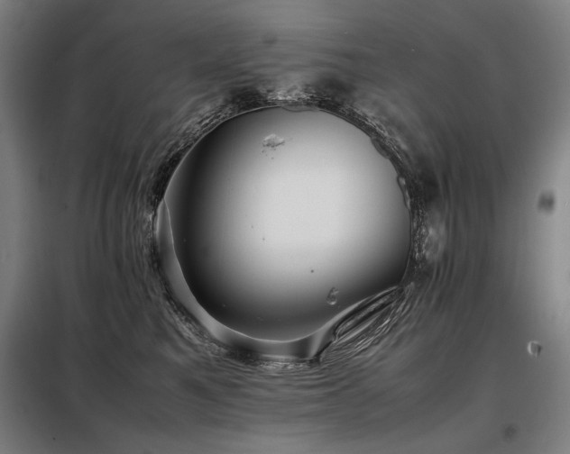 X0000098100521200804041247