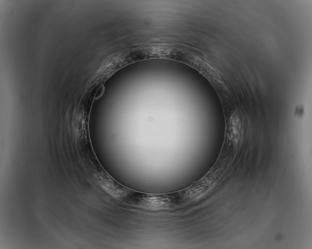 X0000098100522200804041247