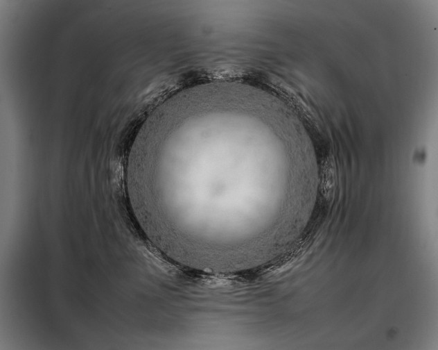 X0000098100523200804041247