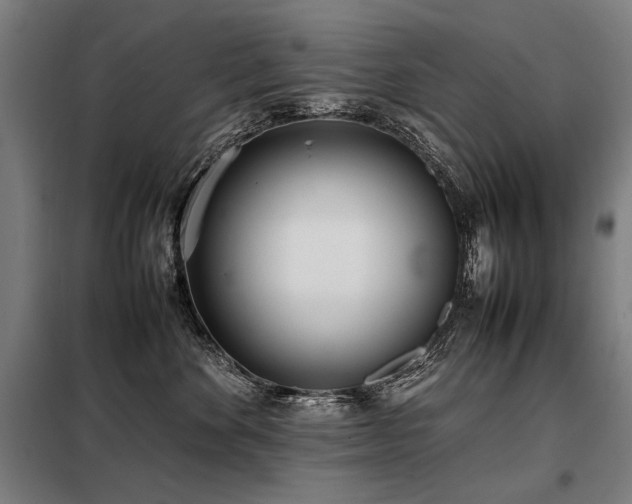 X0000098100524200804041247