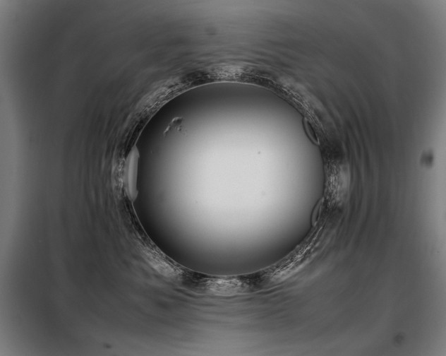 X0000098100525200804041247