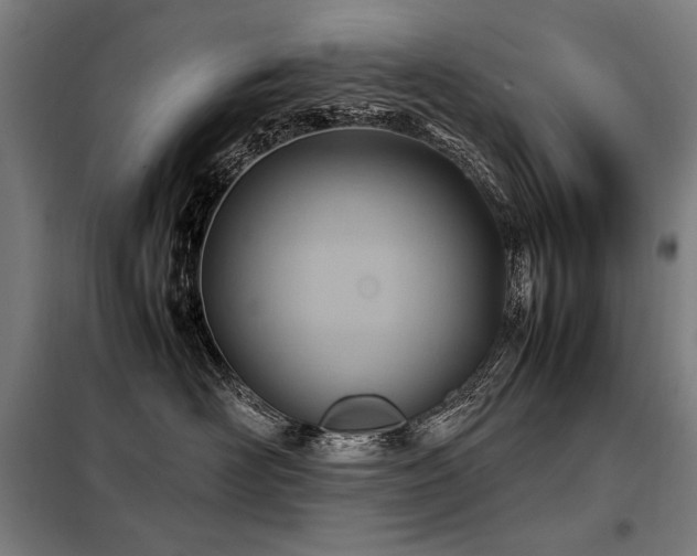 X0000098100526200804041247