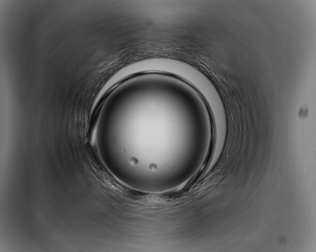 X0000098100528200804041247
