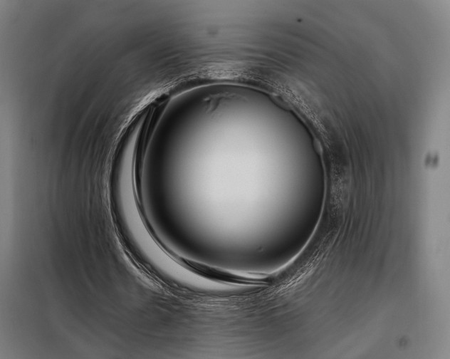 X0000098100530200804041246