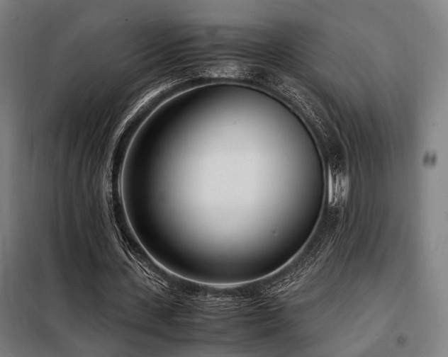 X0000098100531200804041246
