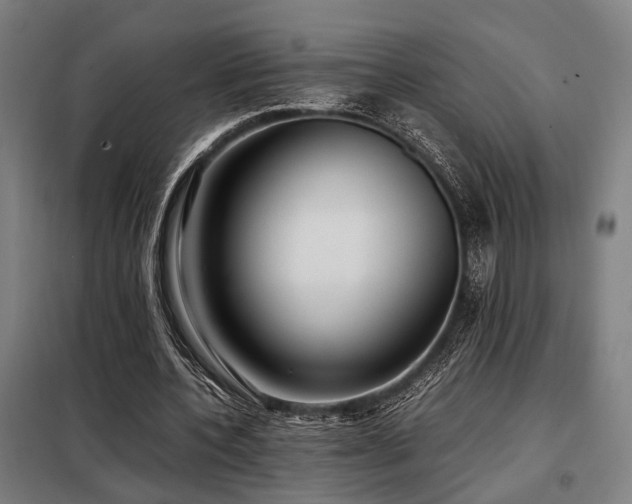 X0000098100532200804041246