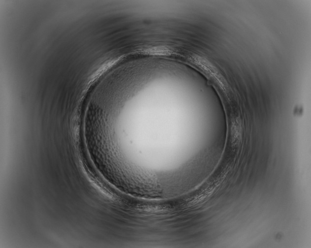 X0000098100533200804041246