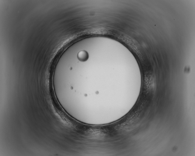 X0000098100534200804041246