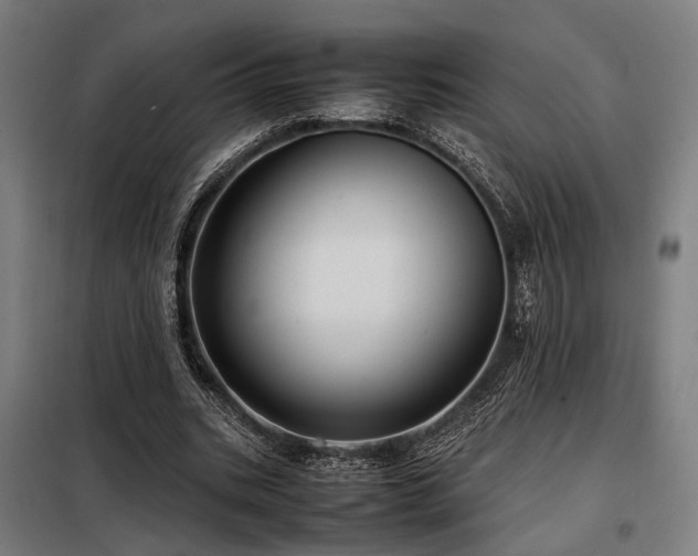 X0000098100535200804041246