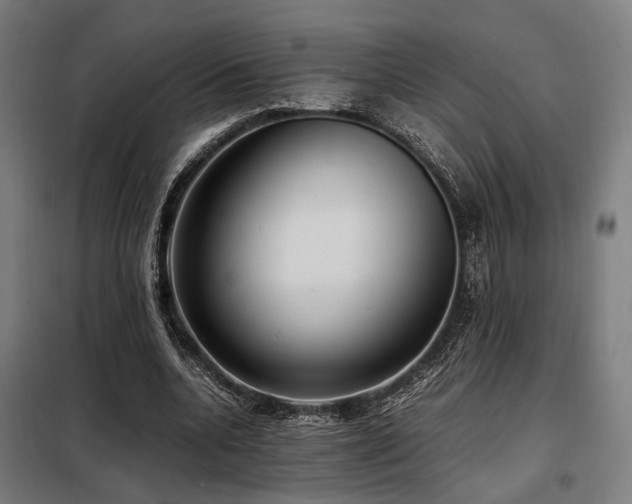 X0000098100536200804041246