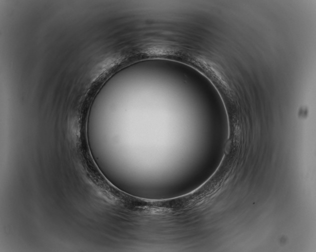 X0000098100539200804041246