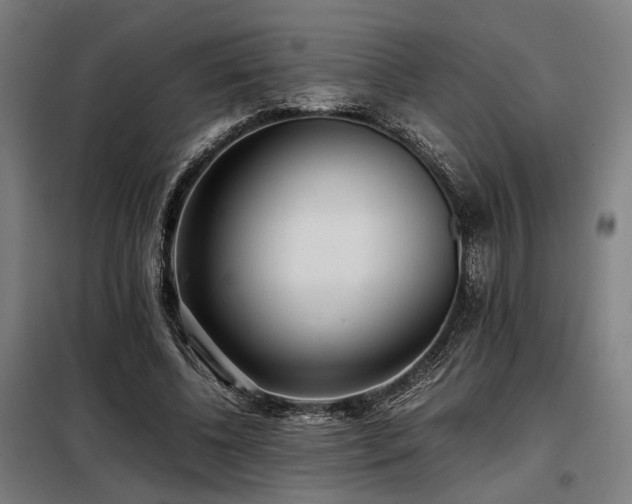 X0000098100540200804041246