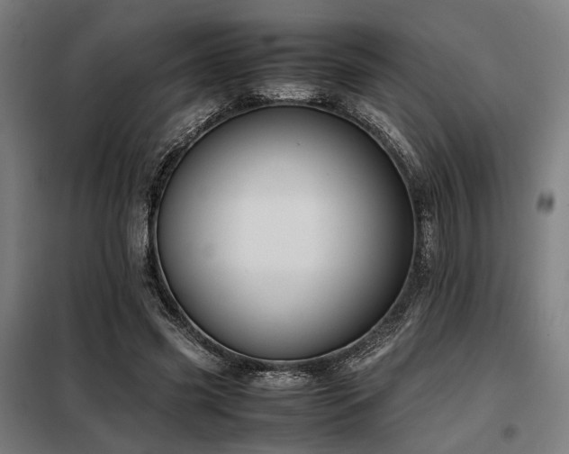 X0000098100541200804041246