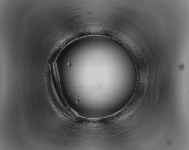 X0000098100542200804041246