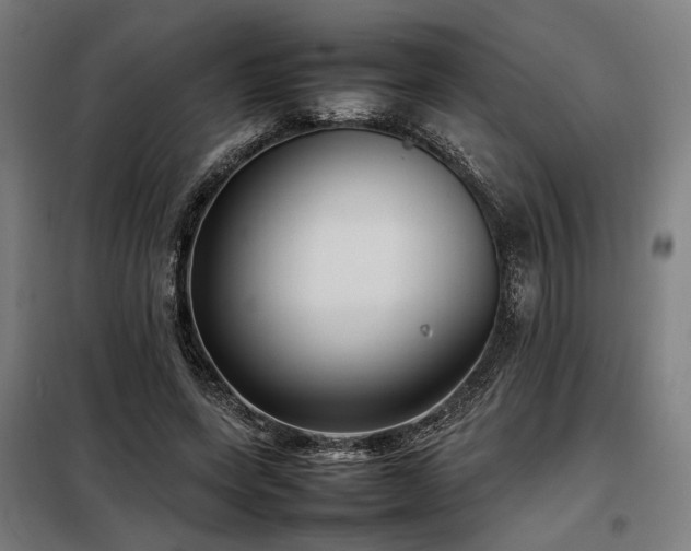 X0000098100543200804041246
