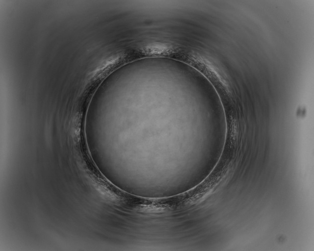 X0000098100545200804041246