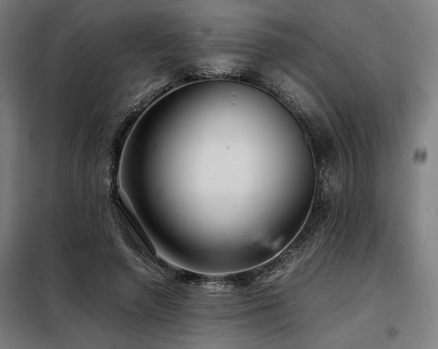 X0000098100546200804041246