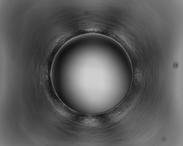 X0000098100547200804041246
