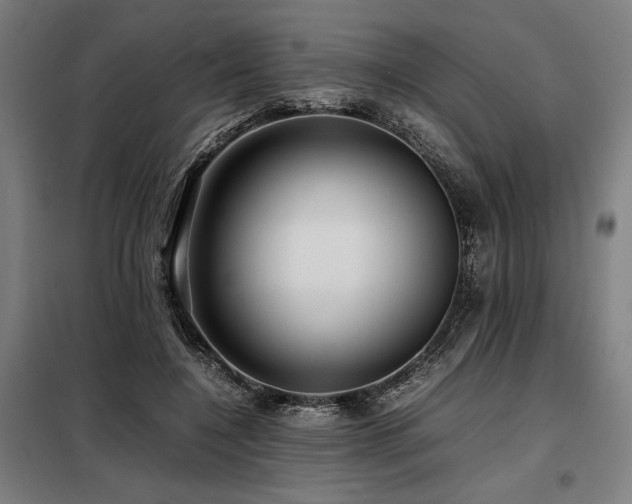 X0000098100548200804041246