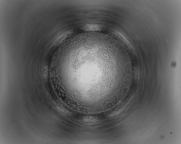 X0000098100549200804041246