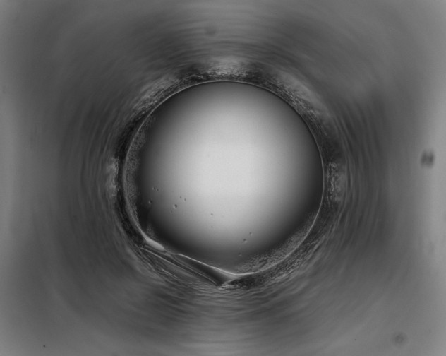 X0000098100550200804041246
