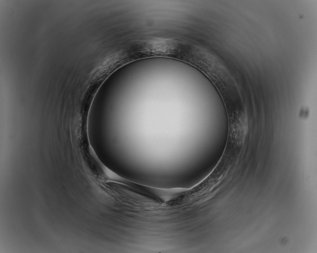X0000098100552200804041246