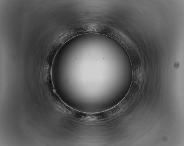 X0000098100554200804041246