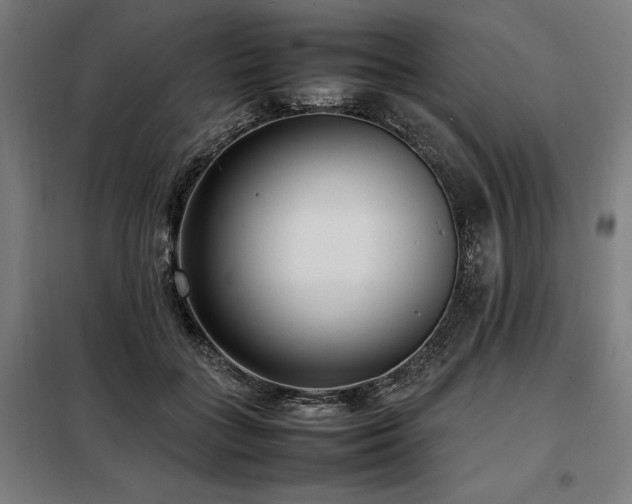 X0000098100555200804041246