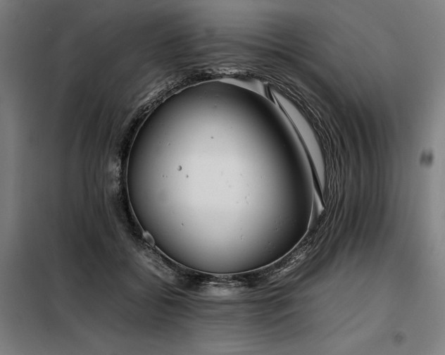 X0000098100556200804041246