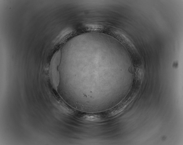 X0000098100557200804041246