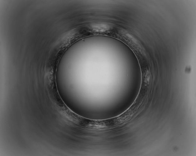 X0000098100559200804041246