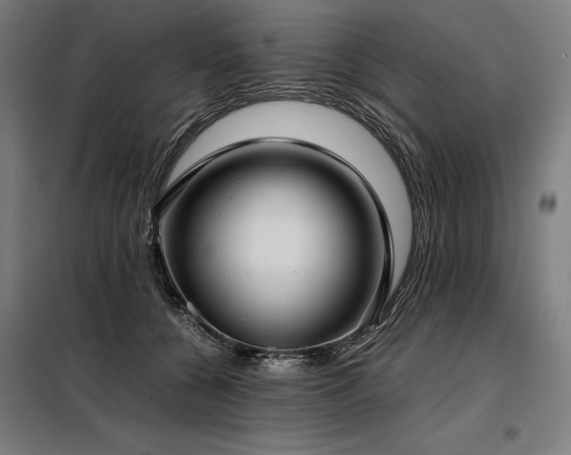 X0000098100560200804041246