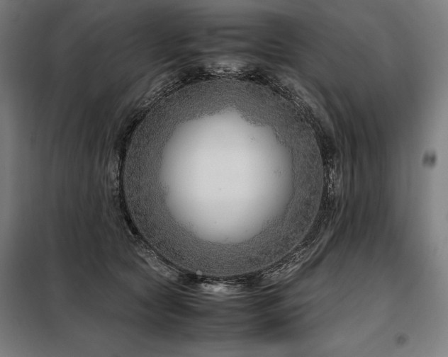 X0000098100561200804041246