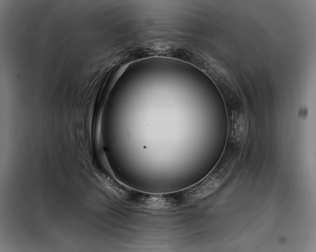 X0000098100562200804041246