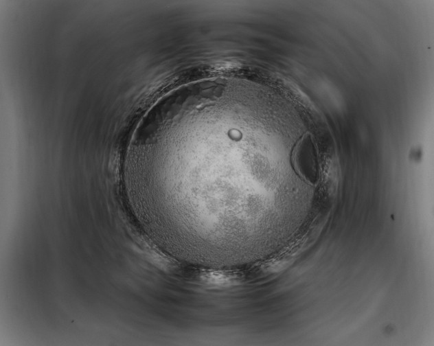 X0000098100565200804041246