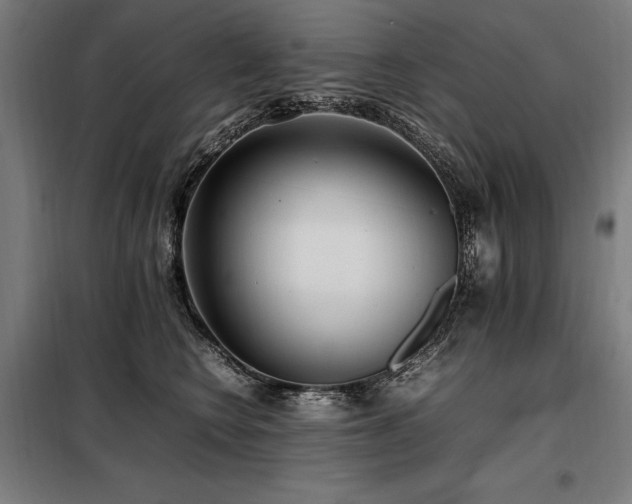 X0000098100566200804041246