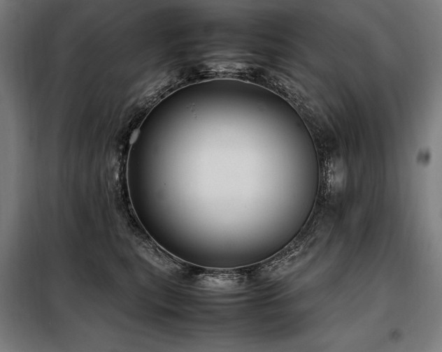 X0000098100567200804041246