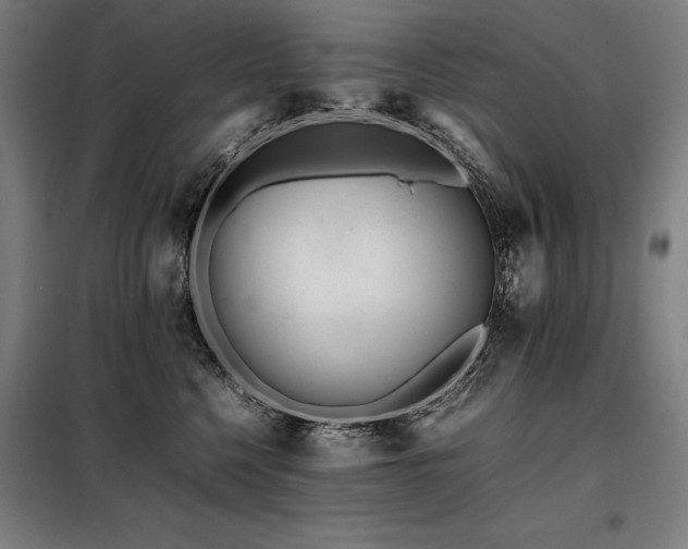 X0000098100568200804041246