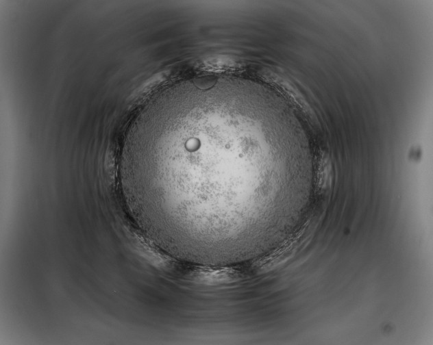 X0000098100569200804041246