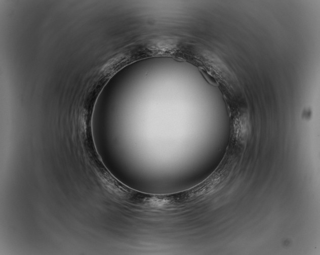 X0000098100570200804041247