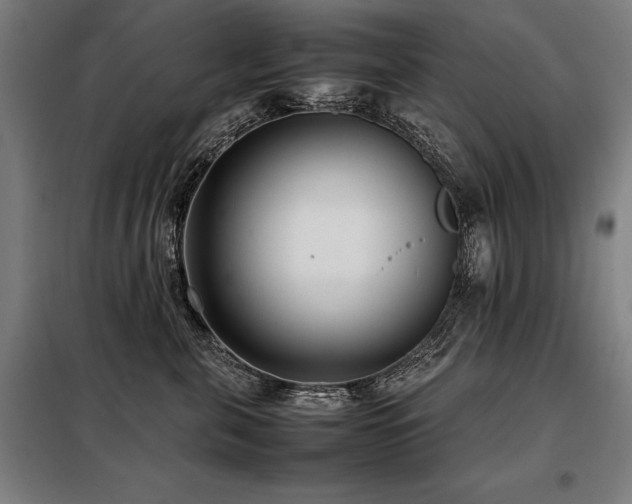X0000098100571200804041247