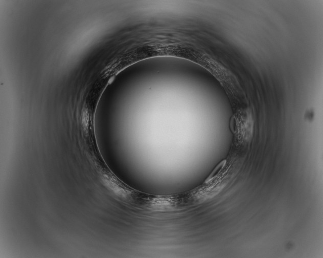 X0000098100574200804041247