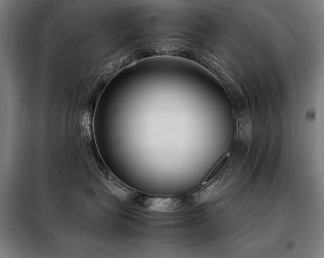 X0000098100575200804041247